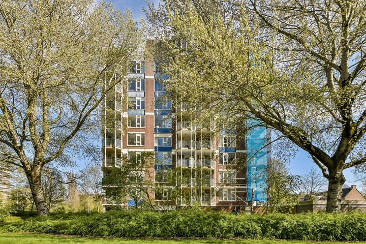 Logger 12 in Amstelveen foto
