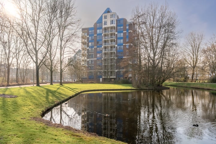 Logger 182 in Amstelveen foto