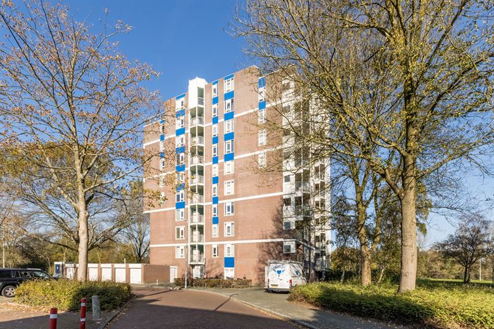 Logger 26 in Amstelveen foto