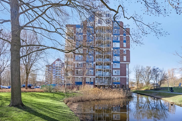 Logger 56 in Amstelveen foto