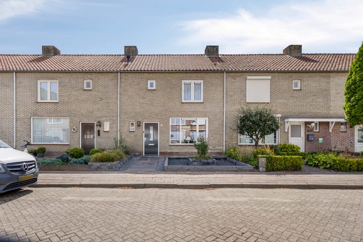 Lokbossen 55 in Reusel foto