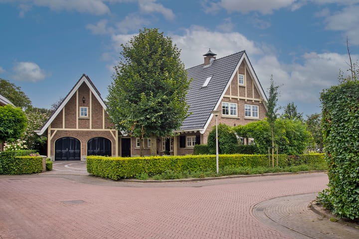 Looker molen 1 in Holten foto