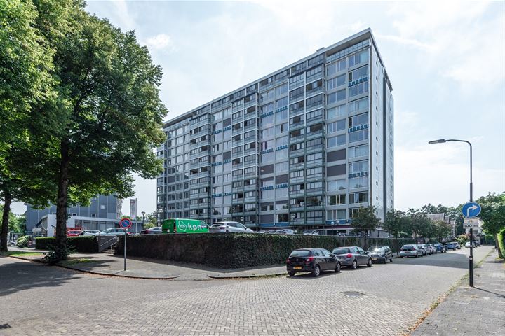 Loolaan 41-41 in Apeldoorn foto