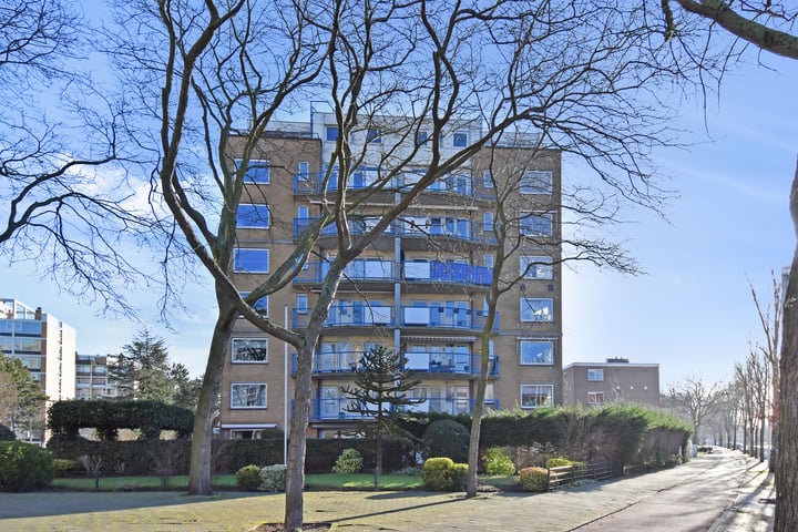 Louis Davidsstraat 220 in 's-Gravenhage foto