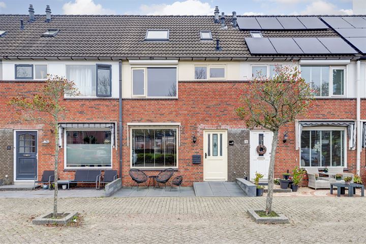 Lupine 40 in Rijnsburg foto
