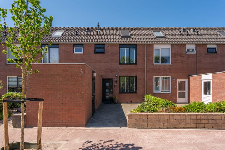 Lupine 63 in Rijnsburg foto