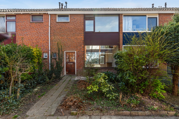 Lupinepad 7 in Spijkenisse foto