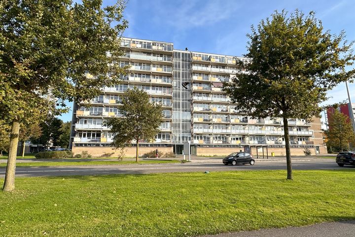 Lupinesingel 266 in Alphen aan den Rijn foto