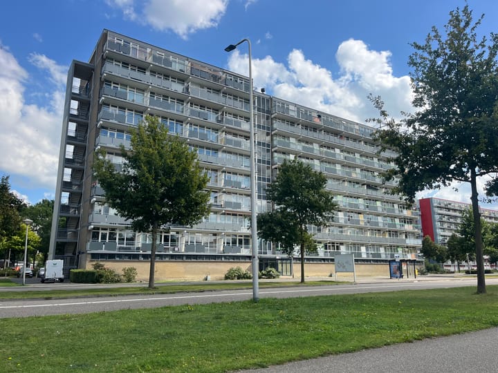 Lupinesingel 444 in Alphen aan den Rijn foto