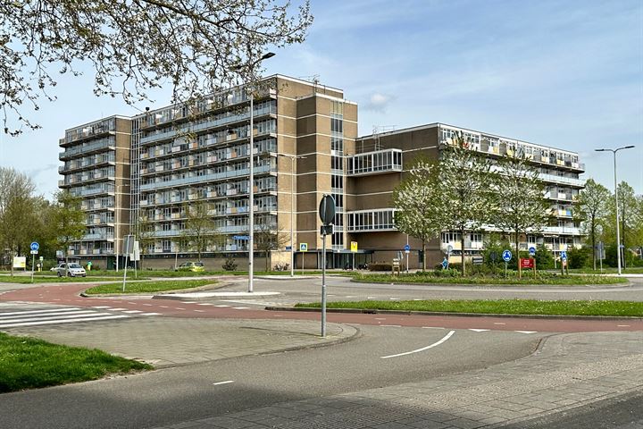 Lupinesingel 456 in Alphen aan den Rijn foto