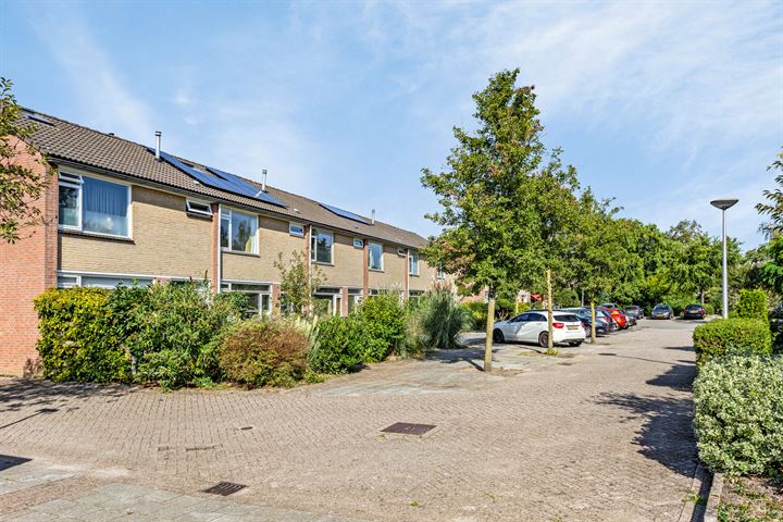 Luts 58 in Zwolle foto
