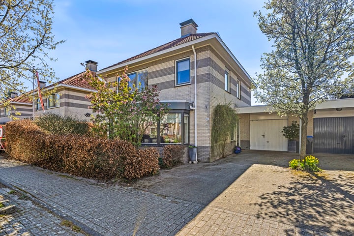 Luzernevlinder 161 in Meppel foto