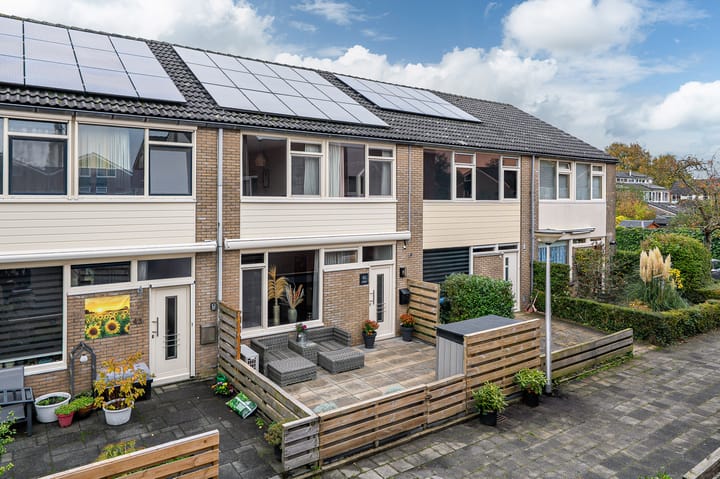 Maagdepalm 45 in Leeuwarden foto