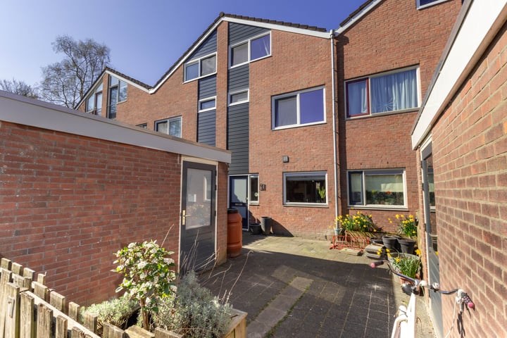Maagdepalm 7 in Leeuwarden foto