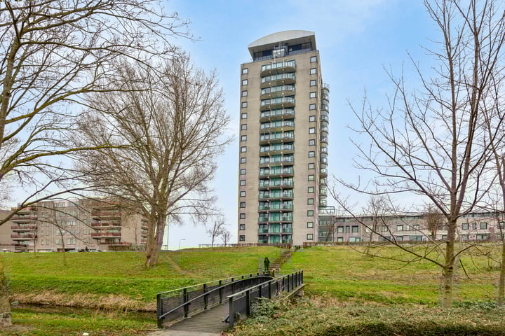 Maasboulevard 123 in Spijkenisse foto
