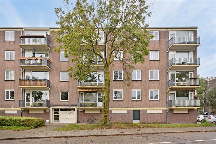 Maassingel 216 in 's-Hertogenbosch foto