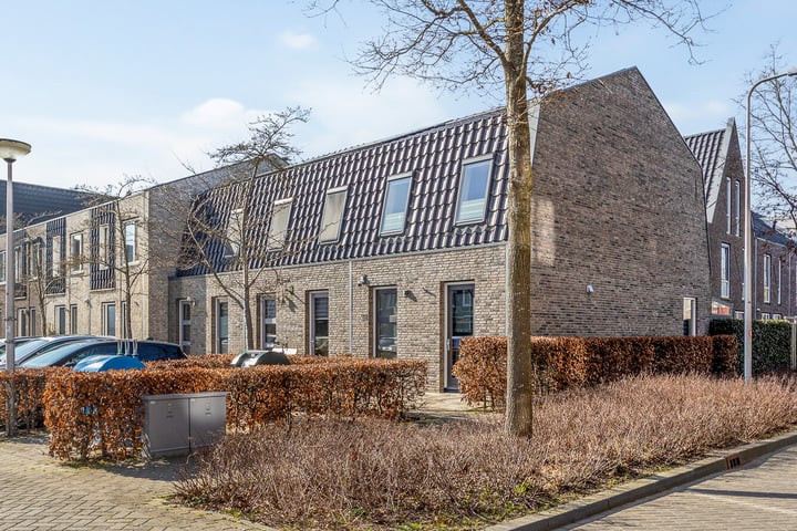Madelief 28 in Bodegraven foto