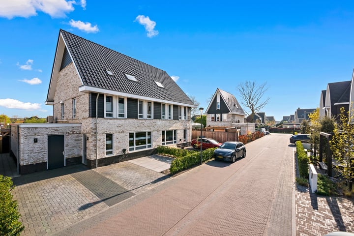 Madelief 6 in Rijswijk foto