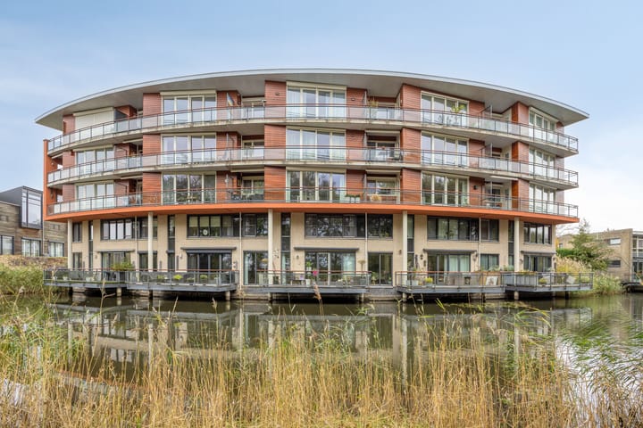 Madeliefberg 62 in Roosendaal foto