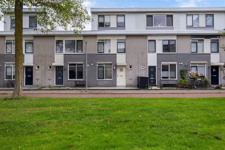 Mahonie 156 in Dordrecht foto