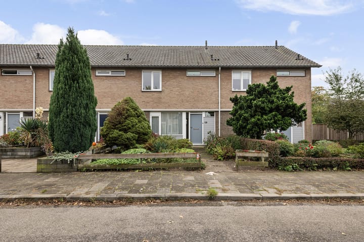 Malvert 2013 in Nijmegen foto