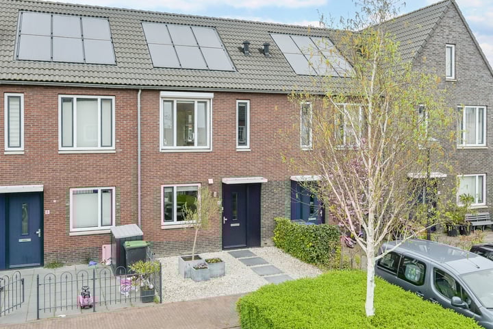 Mandenmaker 6 in Wilnis foto