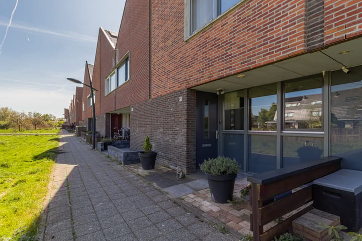 Maneschijn 31 in Assendelft foto