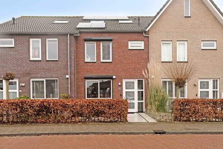 Mangaan 14 in Zeewolde foto