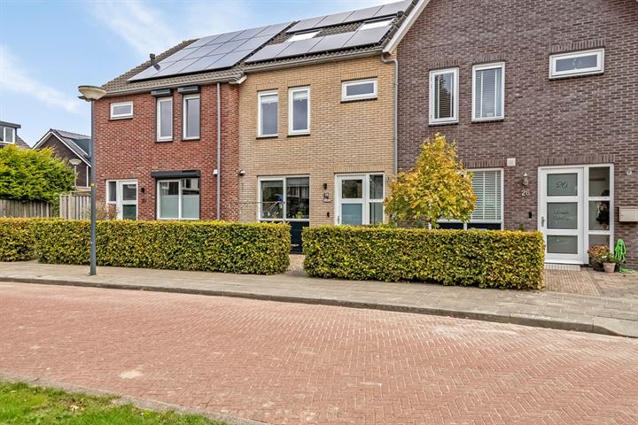 Mangaan 28 in Zeewolde foto