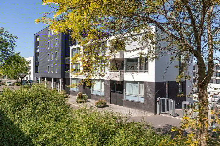 Manis Krijgsmanhof 76 in 's-Hertogenbosch foto