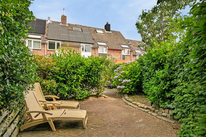 Mannagras 4 in Leeuwarden foto