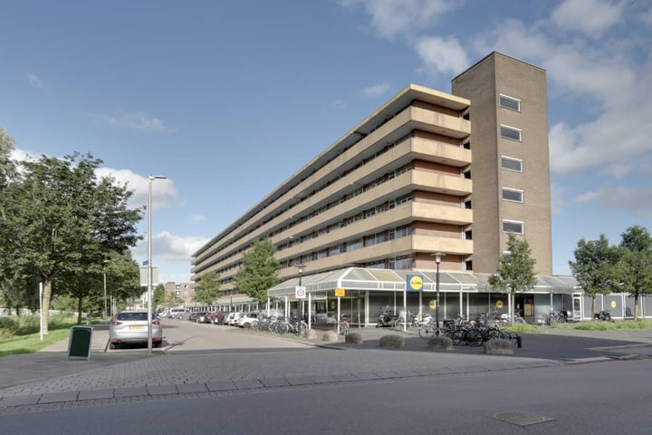 Marco Pololaan 291 in Utrecht foto