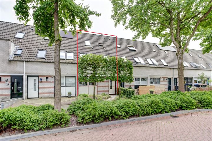 Martin Luther Kingstate 59 in Ede foto