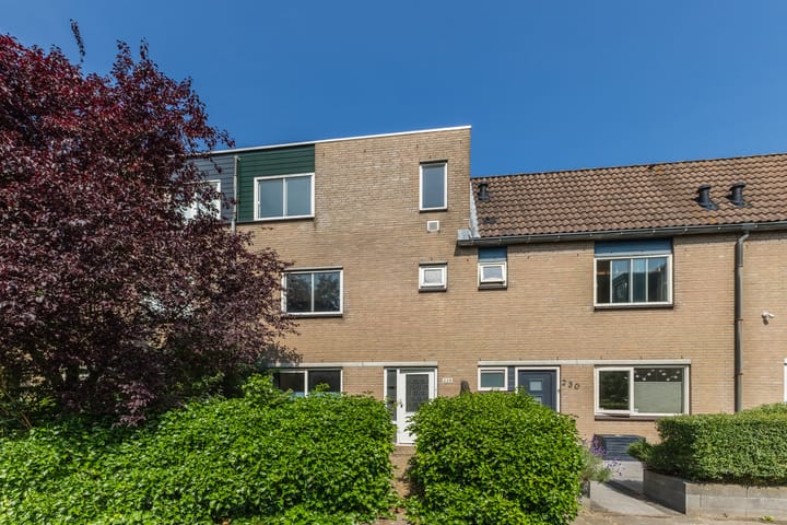 Mastbos 228 in Hoofddorp foto