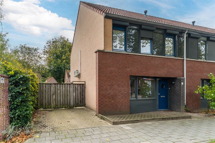 Mathys de Layenslaan 1 in Eindhoven foto