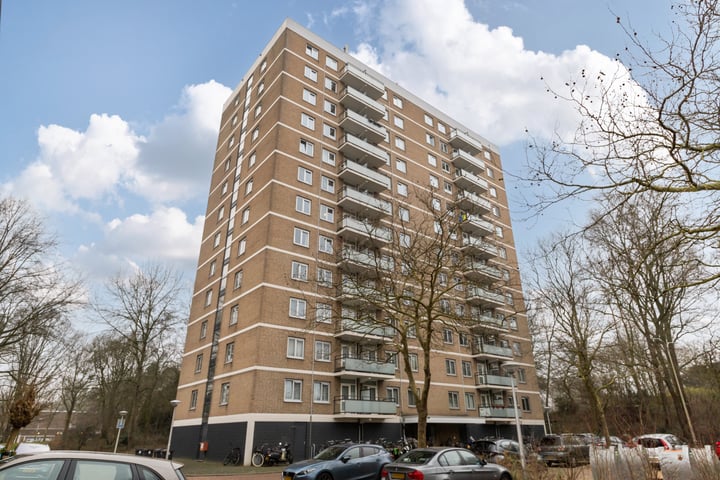 Max Havelaarlaan 609 in Amstelveen foto