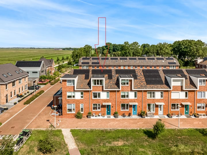 Meerkoet 14 in Noorden foto