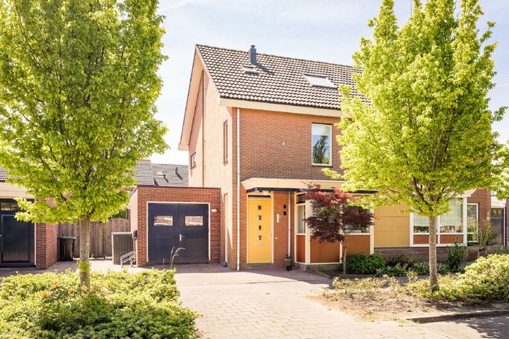 Meerkoet 21 in Hoogkarspel foto
