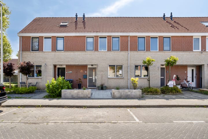 Meerkoet 21 in Bergen op Zoom foto