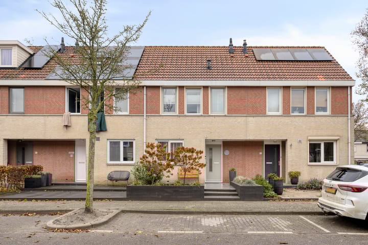 Meerkoet 22 in Bergen op Zoom foto