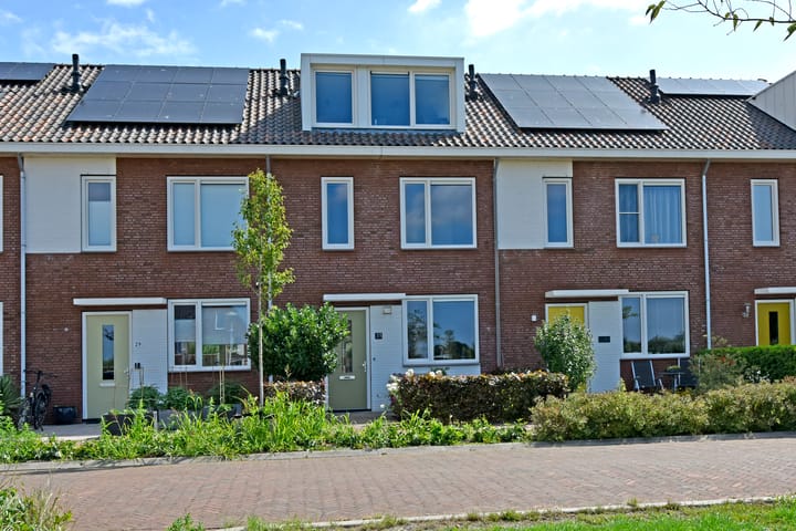 Meerkoet 31 in Noorden foto