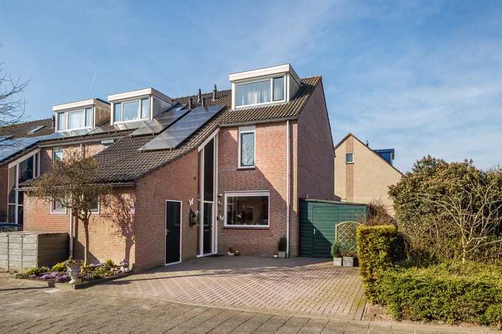 Meerkoet 33 in Harmelen foto