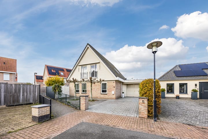 Meerkoet 5 in Terneuzen foto