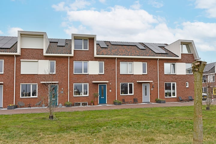 Meerkoet 6 in Noorden foto