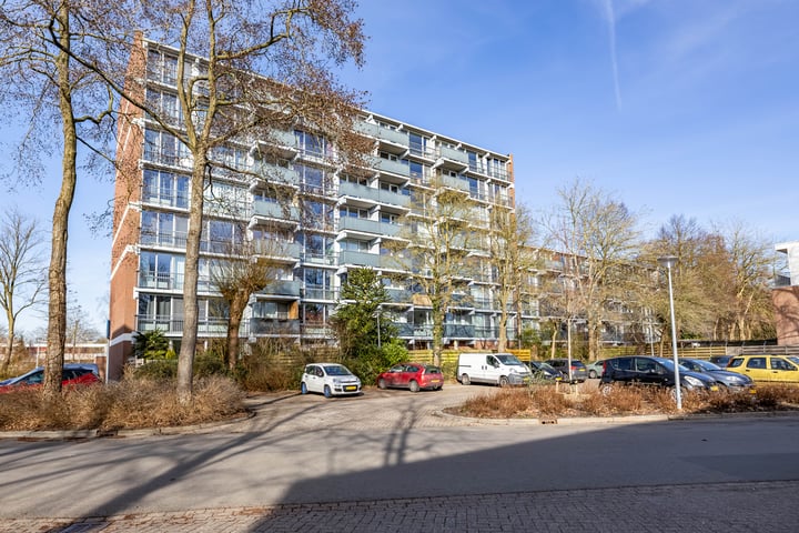 Meerpaal 40 in Groningen foto