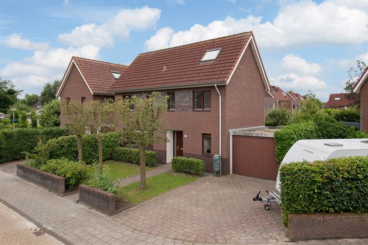 Meerval 16 in Assen foto