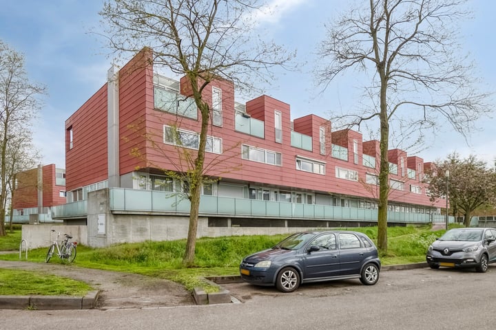 Meerval 20 in Amersfoort foto