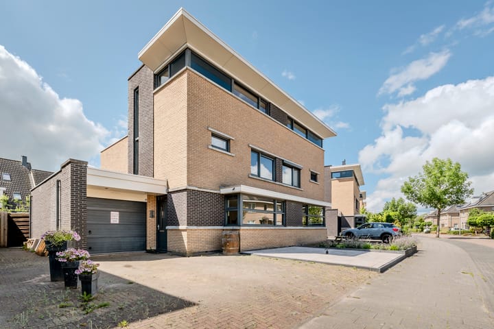 Meerval 35 in Hoogeveen foto