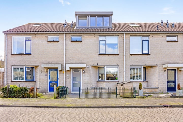 Meerval 36 in Bodegraven foto