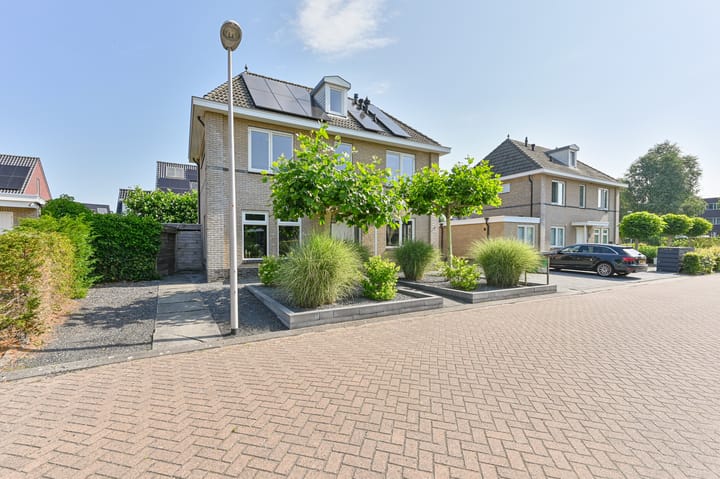 Meerval 4 in Hoogeveen